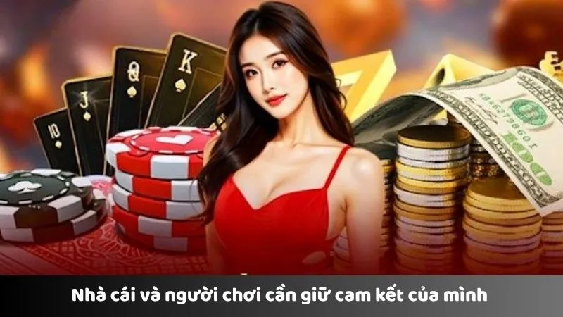 Nhà cái sử dụng thông tin người chơi để nâng cấp trải nghiệm